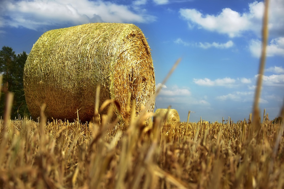 straw-bales-4310253_960_720.jpg