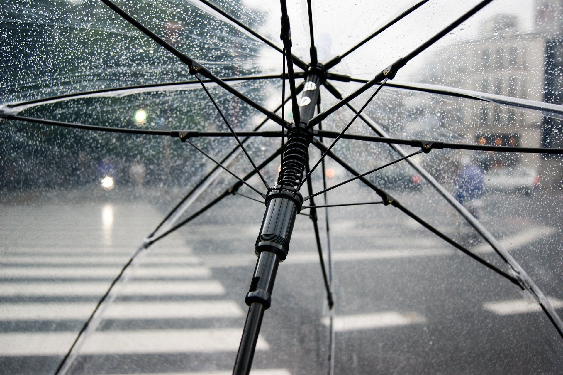 umbrella-4425160_1920.jpg